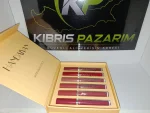 HANDAYAN Matte Liquid Lipstick – 6 Renk Seçeneği, Mat Bitiş, Uzun Süre Kalıcı - Görsel 3